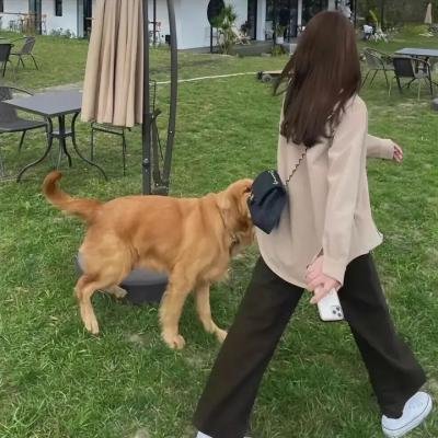潮与虎第一季